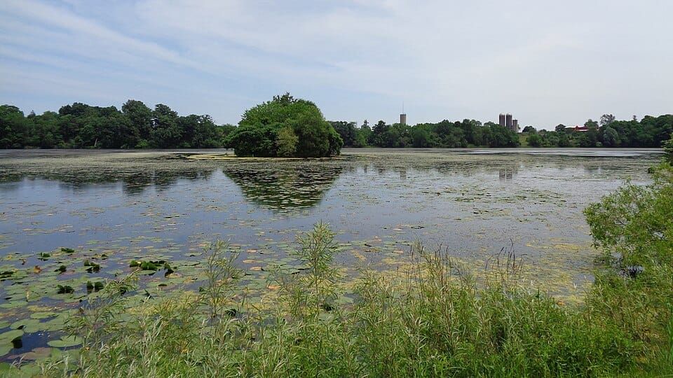 Watkins Lake