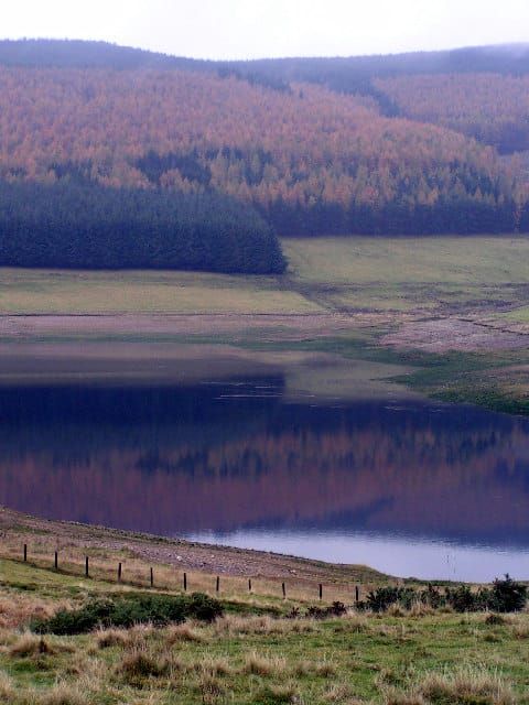 Vernon Reservoir