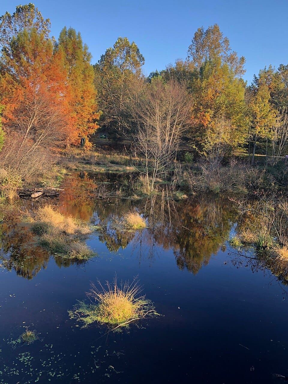 Lake Tuckahoe