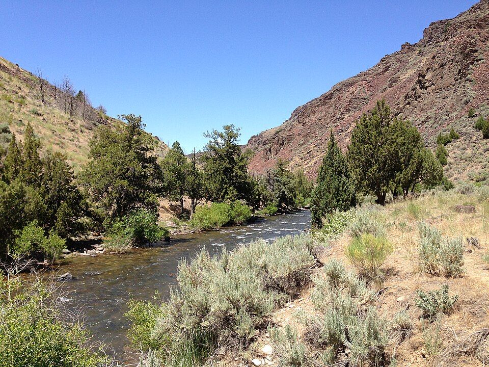 Jarbidge River