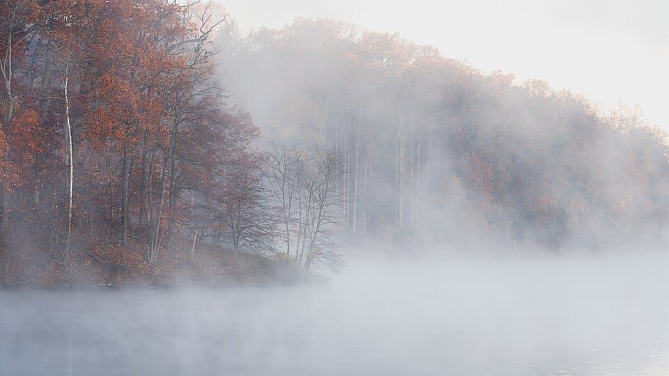 Needwood Lake