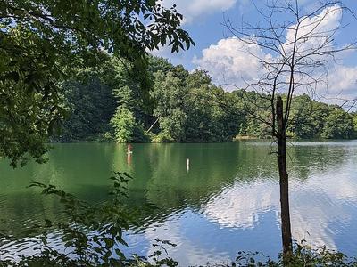 Wolf Run Lake