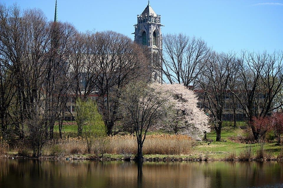 Branch Brook Lake