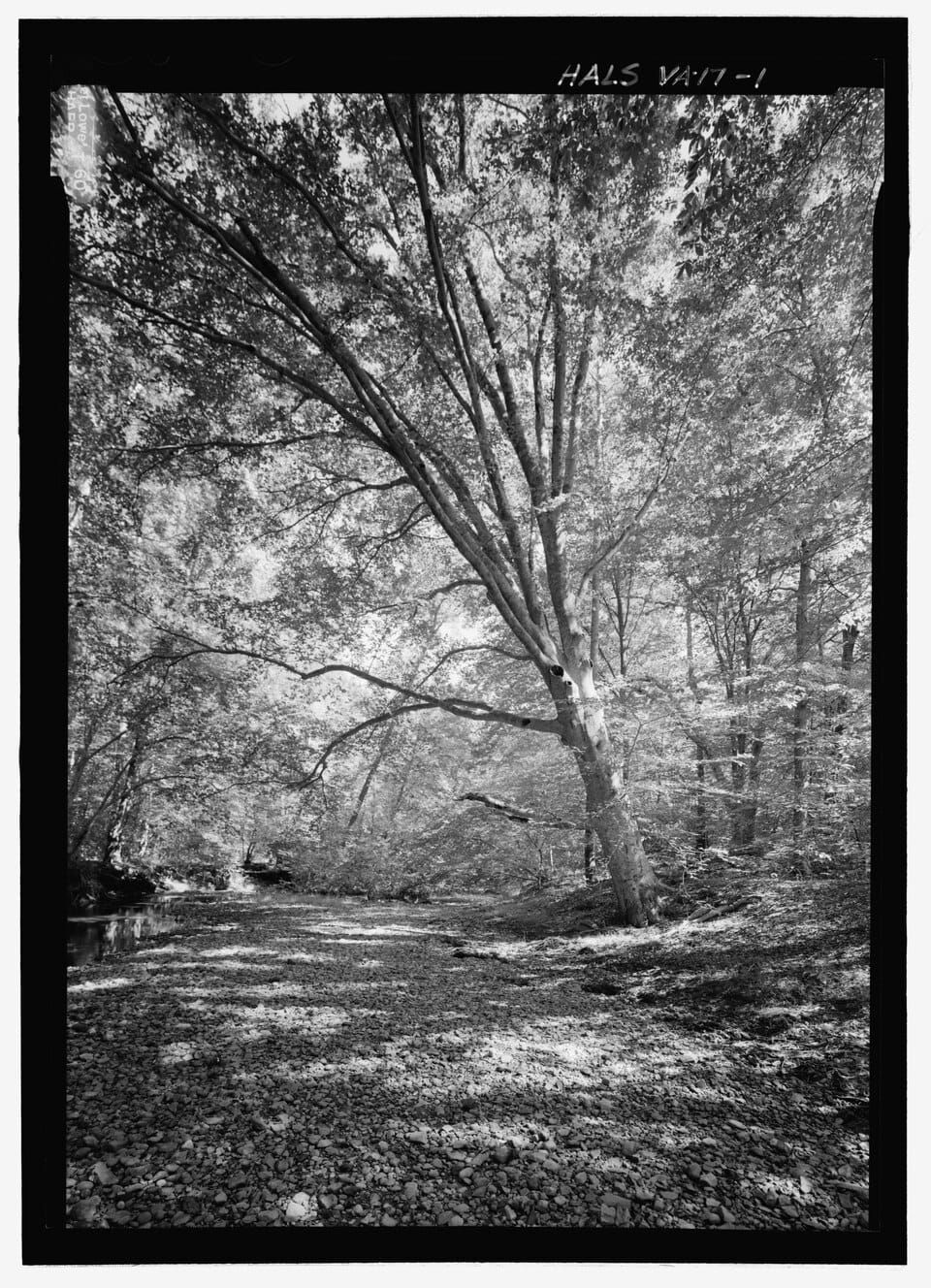 South Fork Beech Creek