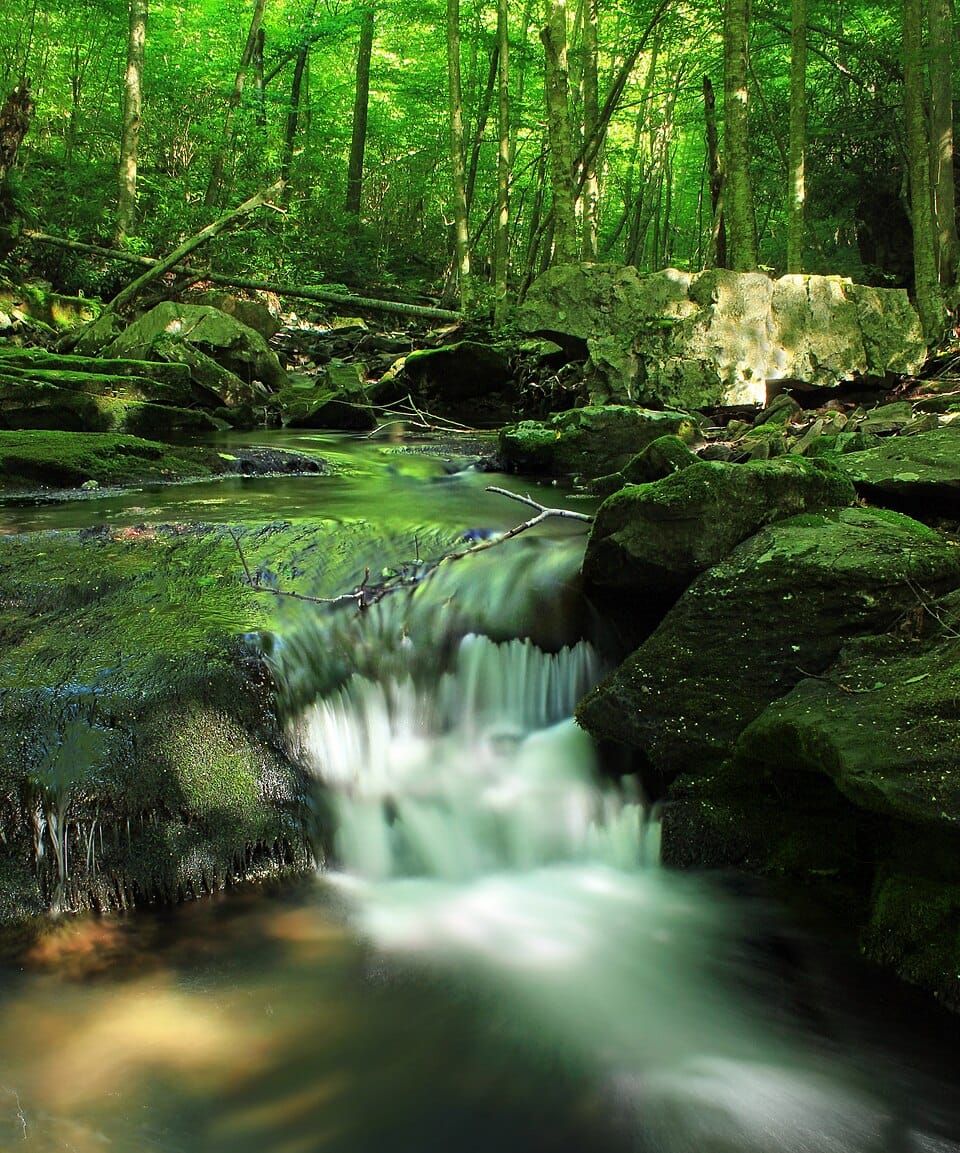 Devils Hole Creek