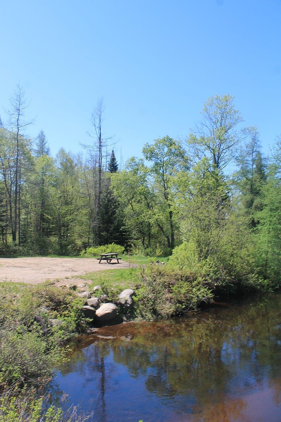 Moose River Plains Wild Forest