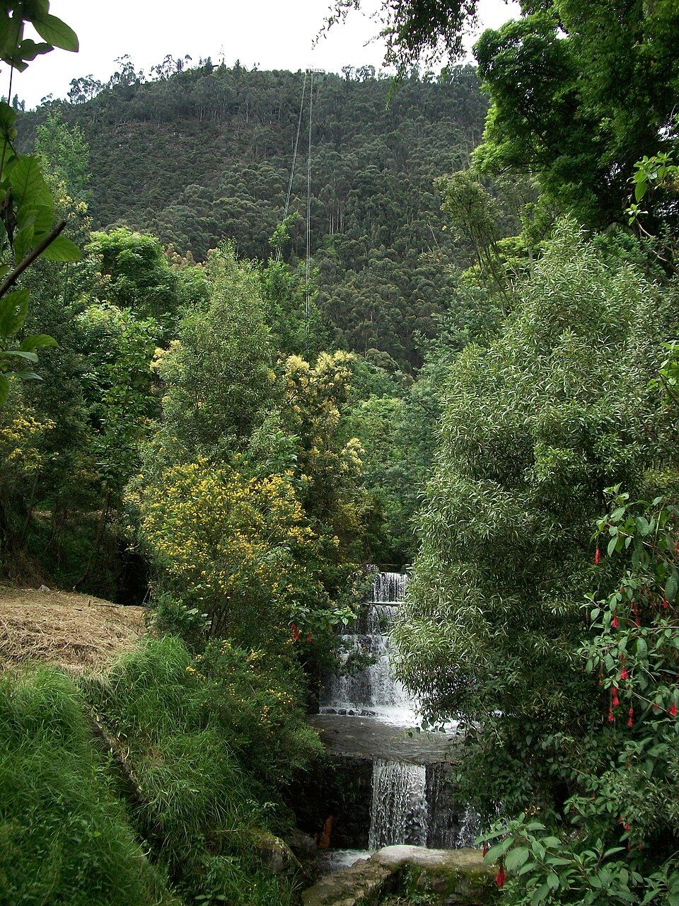 San Francisco River