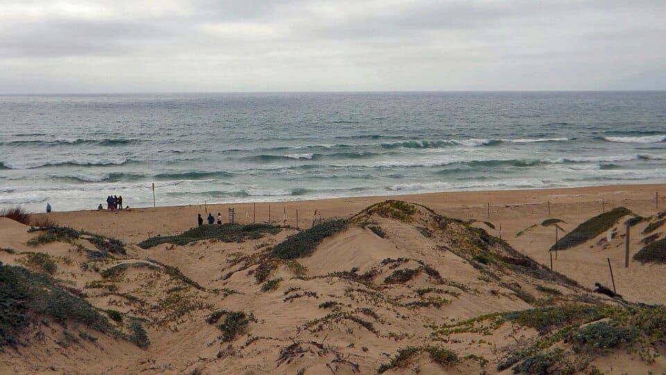 Oceano Dunes OHV Area