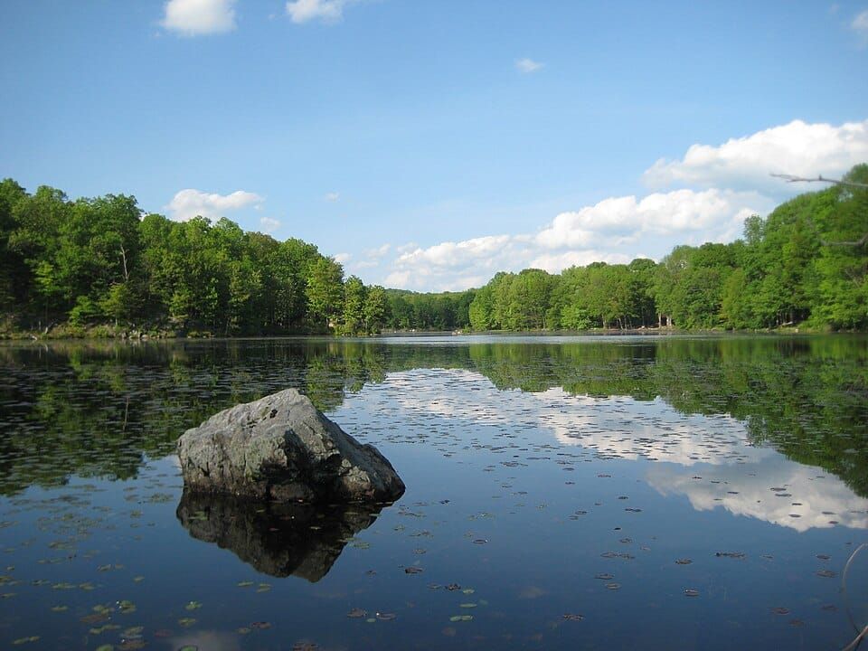 Johnson Lake