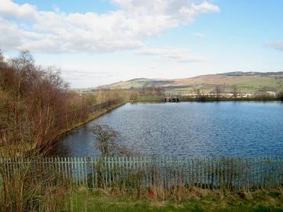 Alexandria Reservoir