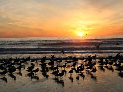 Manresa State Beach