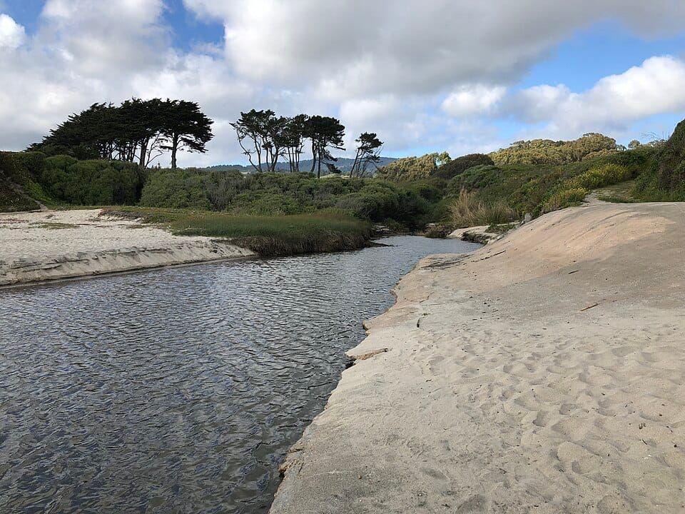 Half Moon Bay State Beach