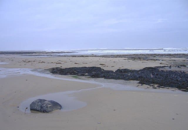 Broad Sand Rocks