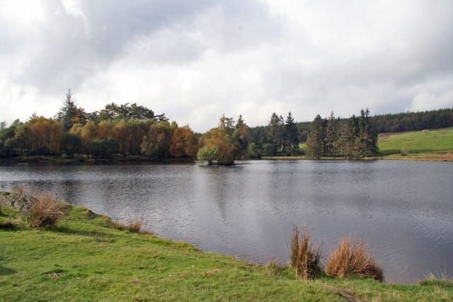 Moss Eccles Tarn