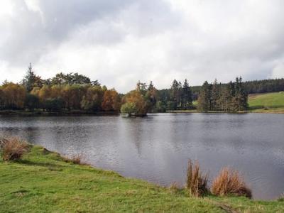Moss Eccles Tarn