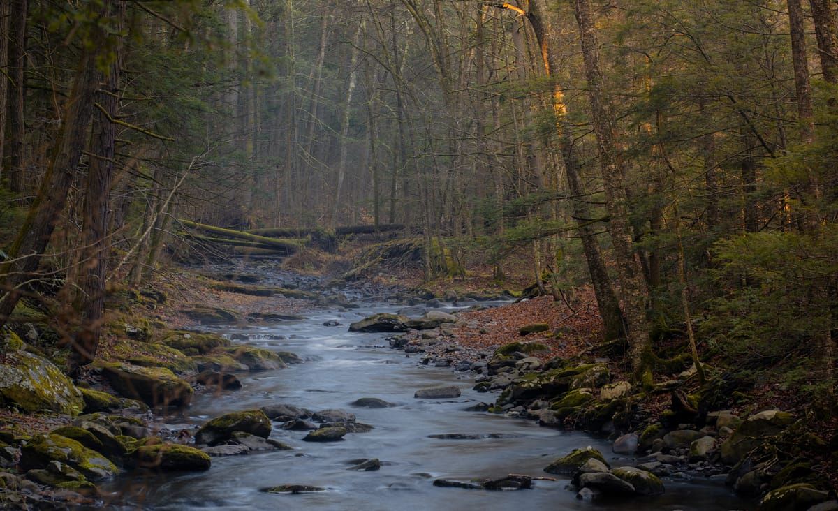 Dingmans Creek