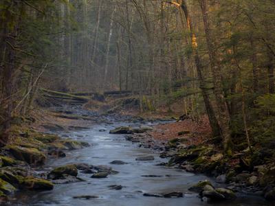Dingmans Creek