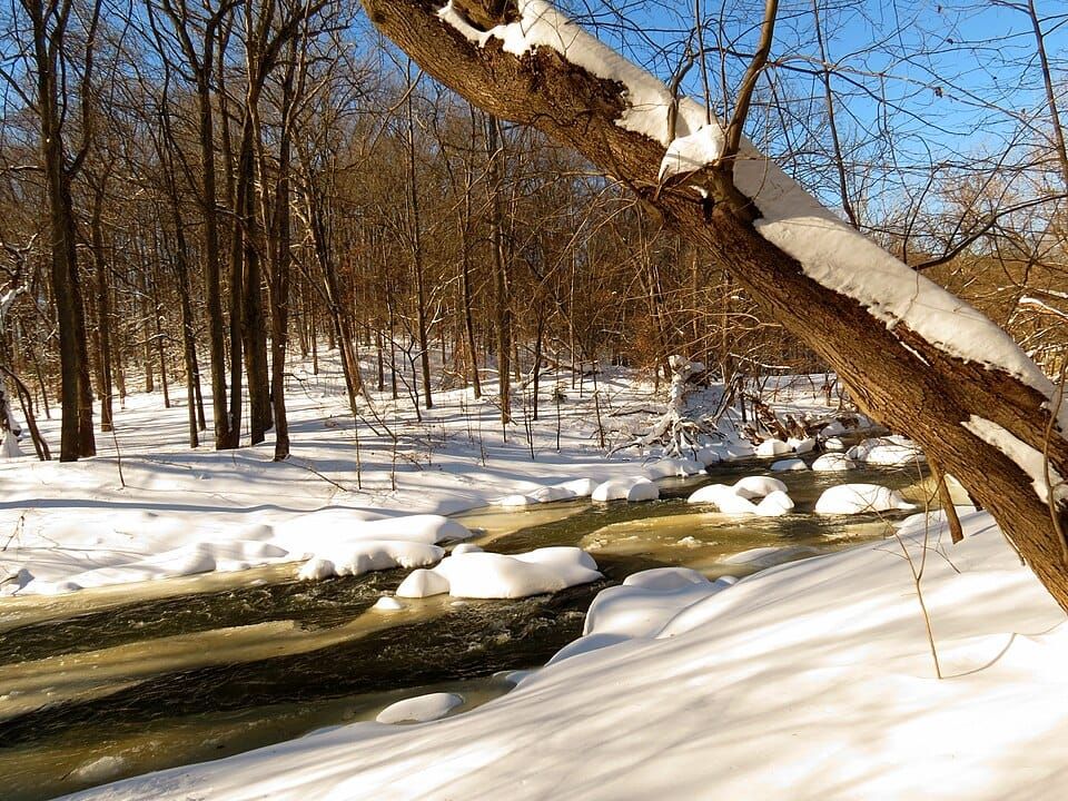 Rock Creek