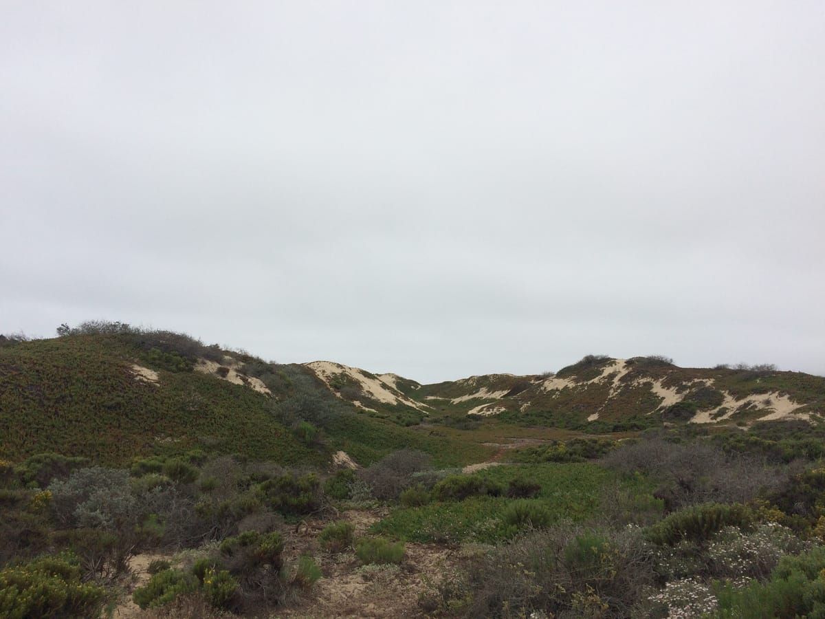 Oceano Dunes Natural Preserve State Park