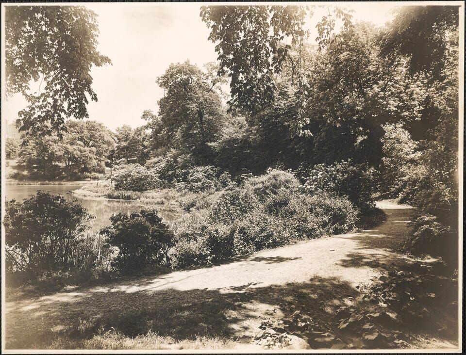 Rock Springs Pond