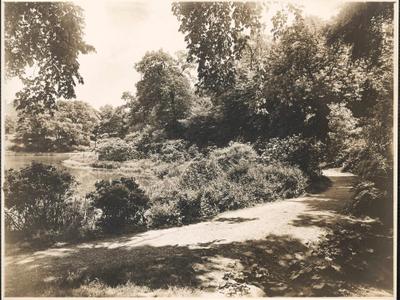 Rock Springs Pond