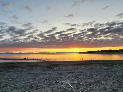 Kenai Beach