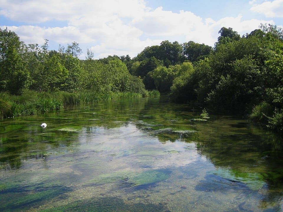 Source of the River Itchen