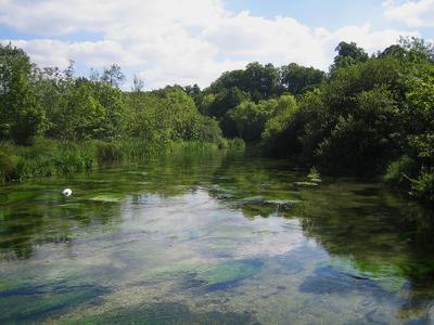 Source of the River Itchen