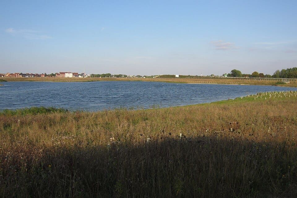 Leisure Lake