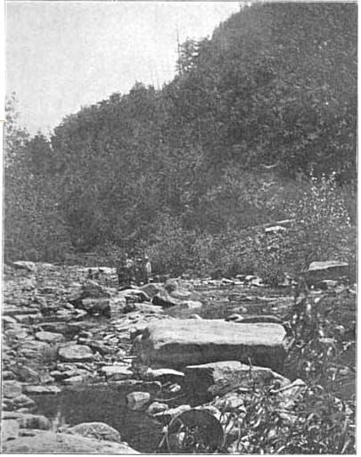 Harveys Creek