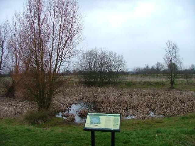 Norton Pond