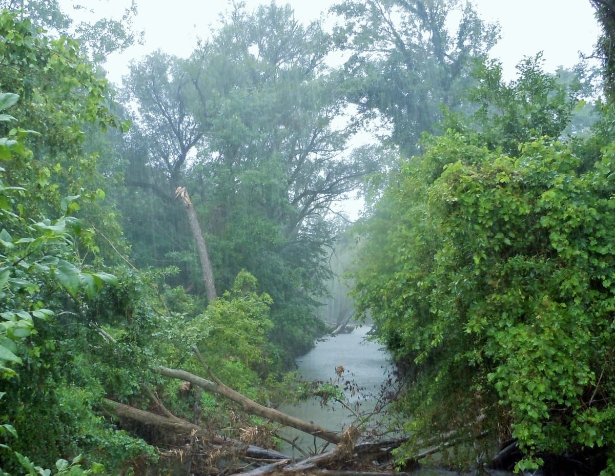 East Arm Little Calumet River