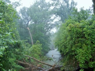 East Arm Little Calumet River