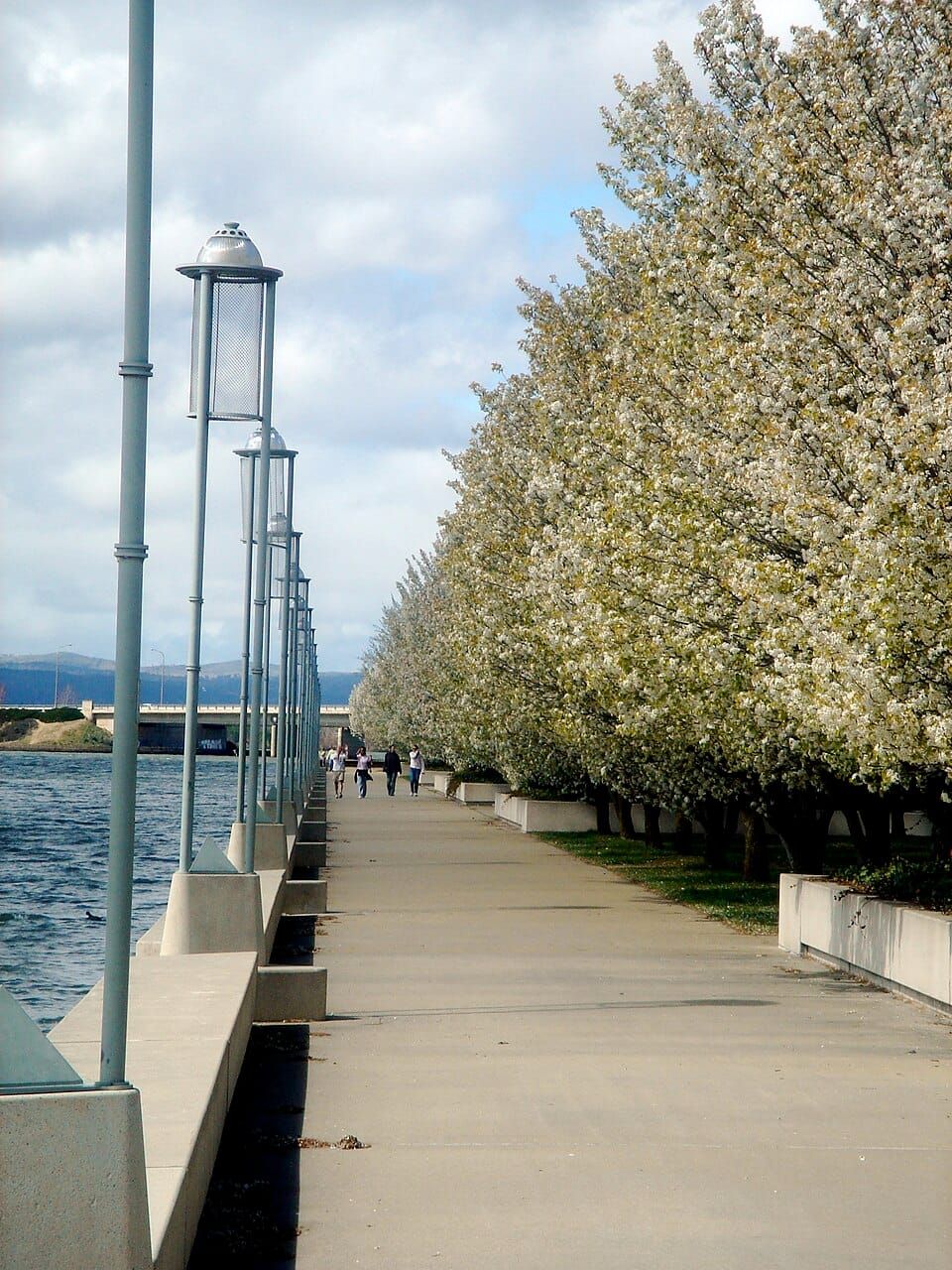Dion Lake