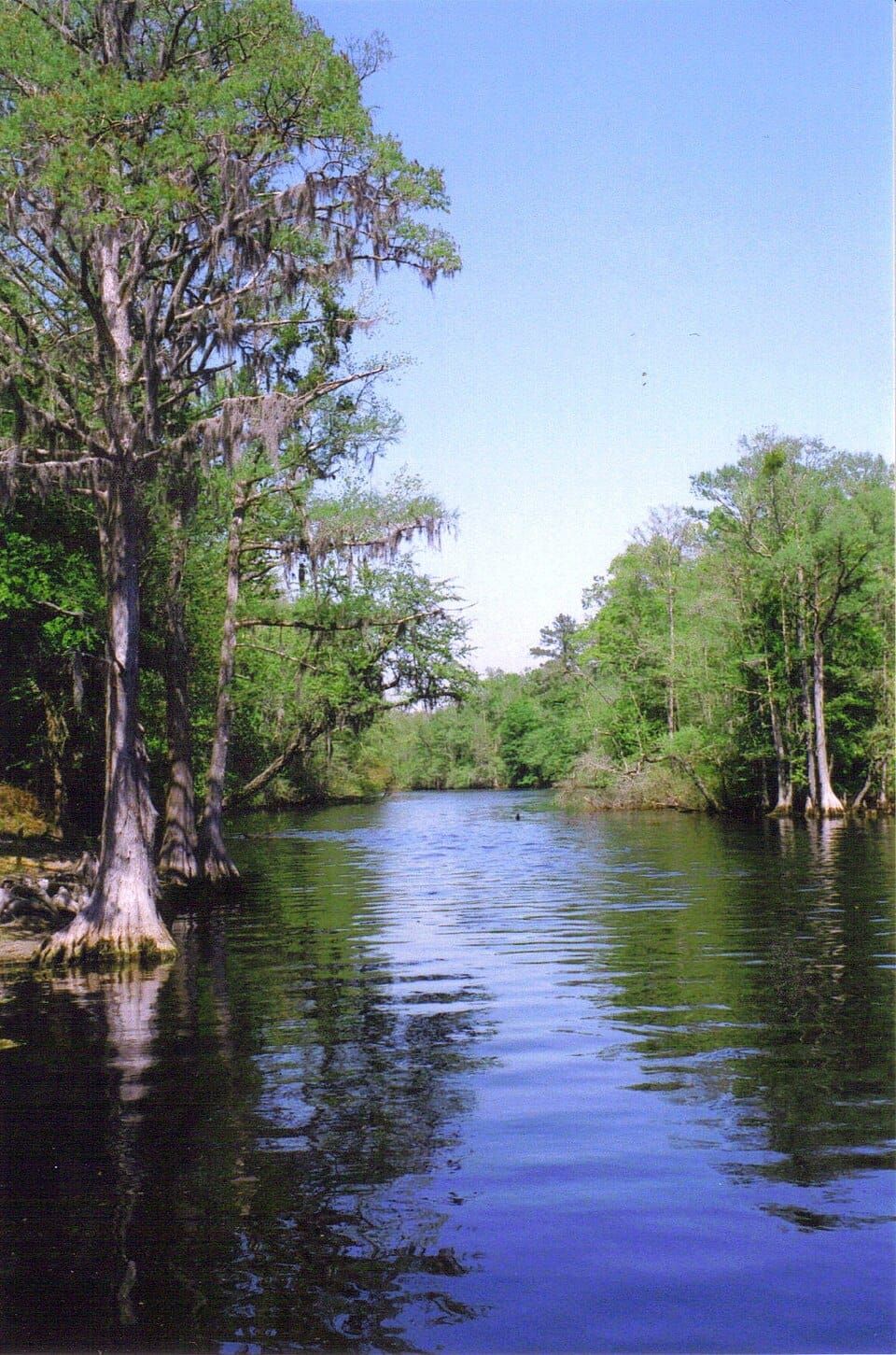 Lumber River