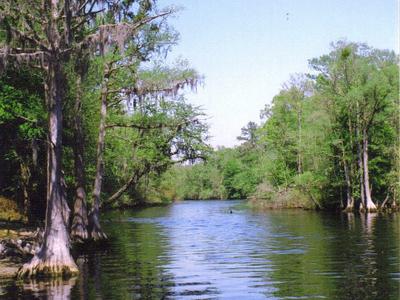 Lumber River
