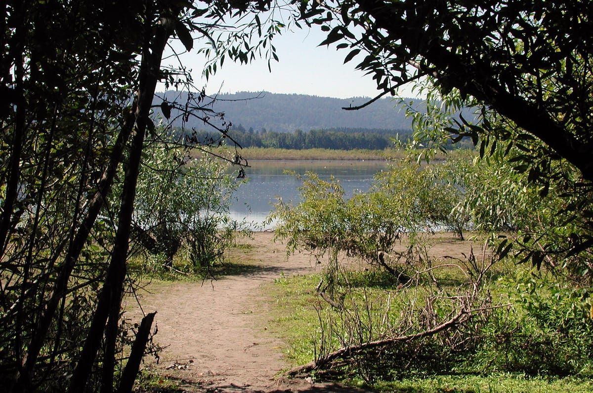 Smith Lake