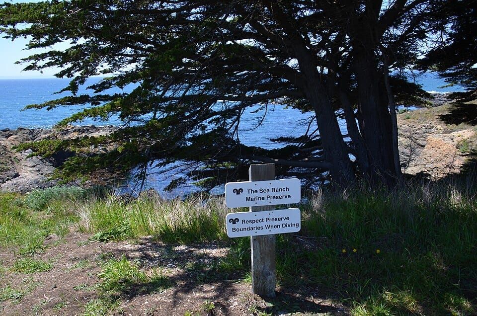 Pebble Beach
