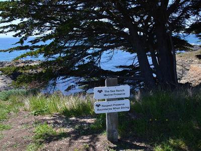 Pebble Beach