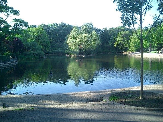Jacksons Pond