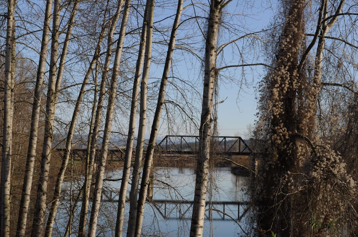 Snohomish River