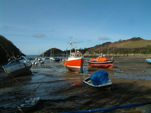 Watermouth Cove