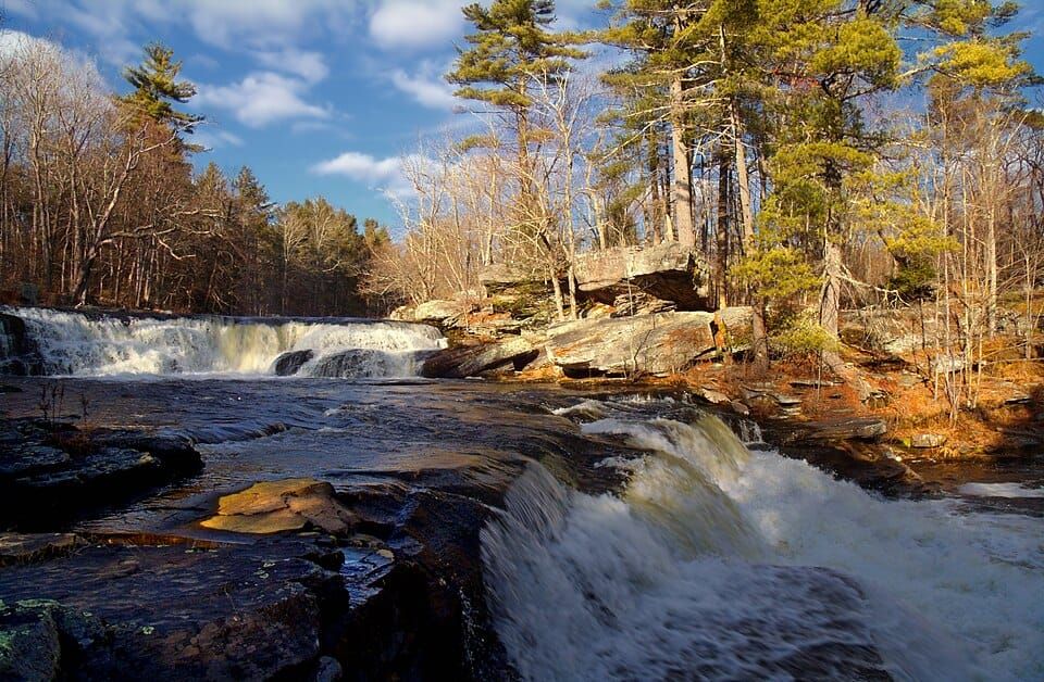 Otter Lake