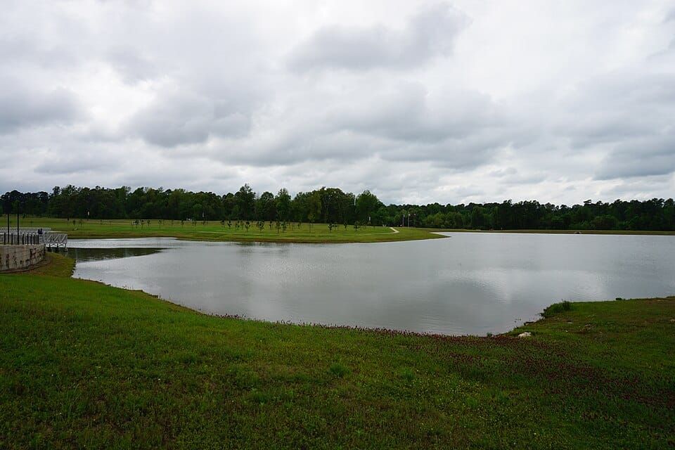 Bringle Lake