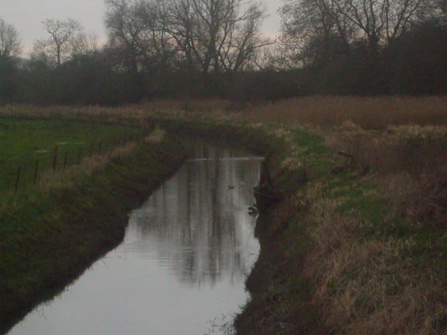 Bottoms Drain