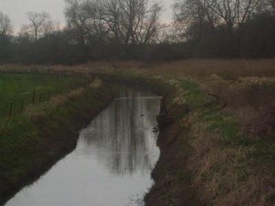 Bottoms Drain