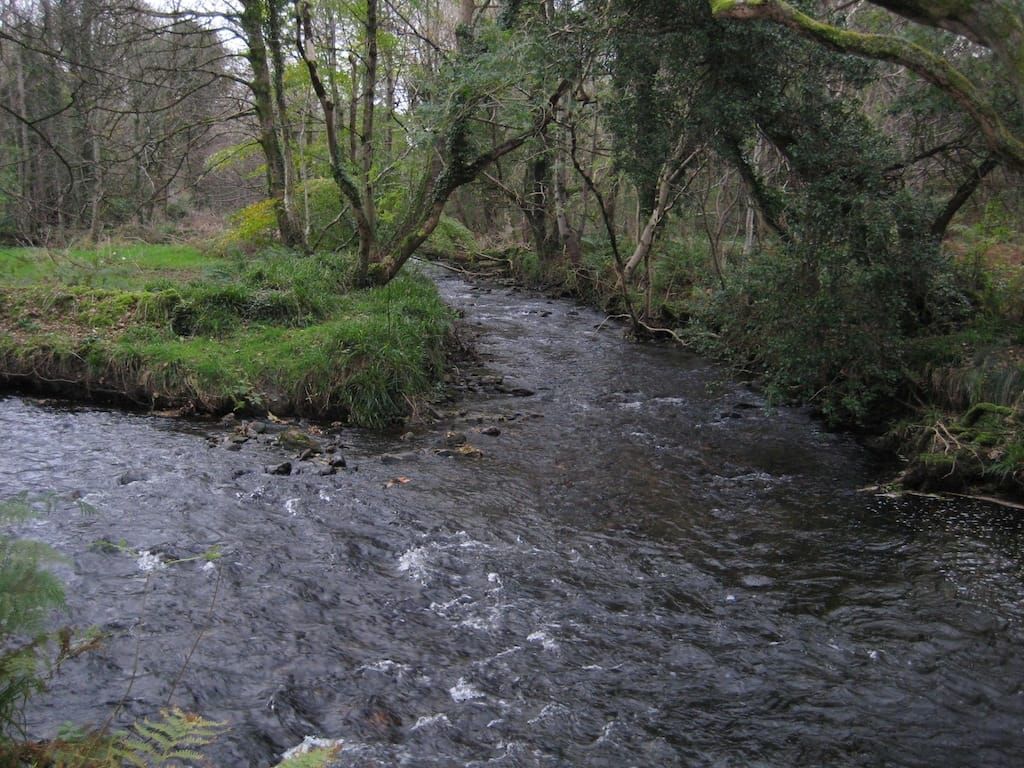 Baldwin River