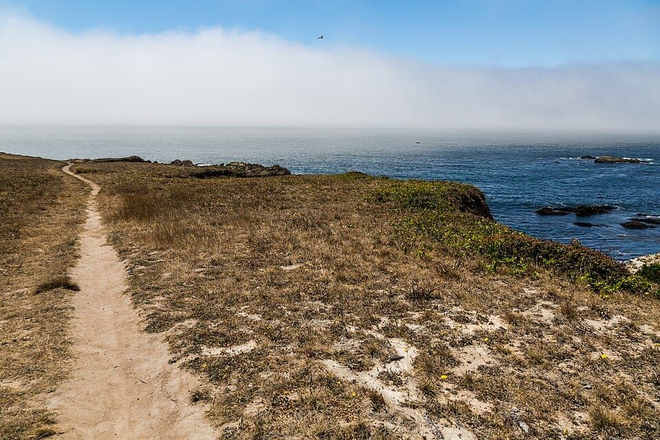 Stump Beach