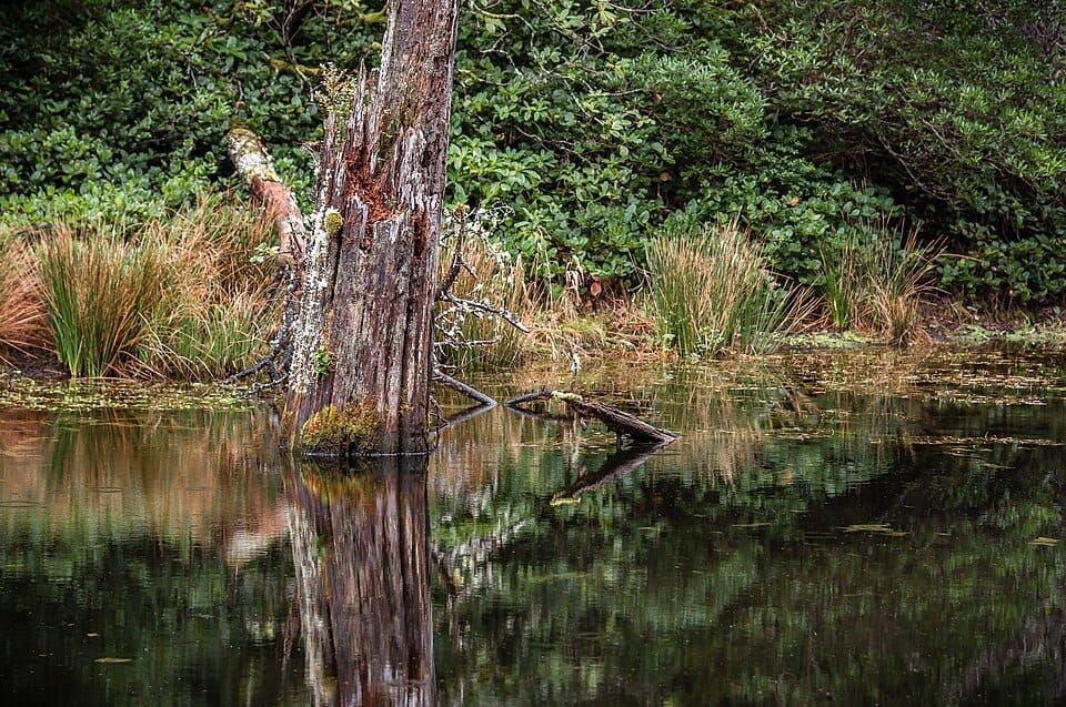 Lost Lake