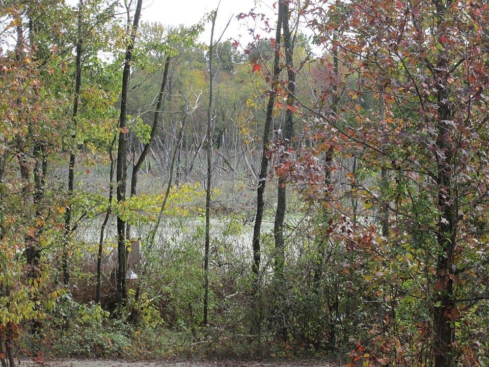 Patoka River
